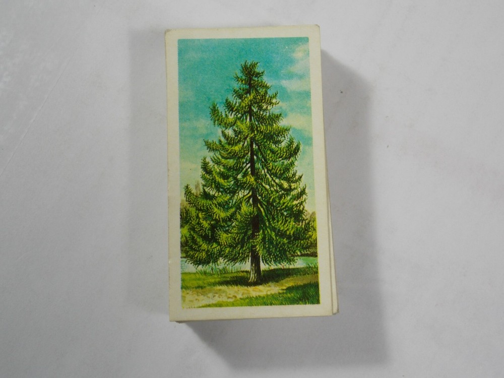 Brooke Bond Tea Cards Trees in Britain Complete Set 50