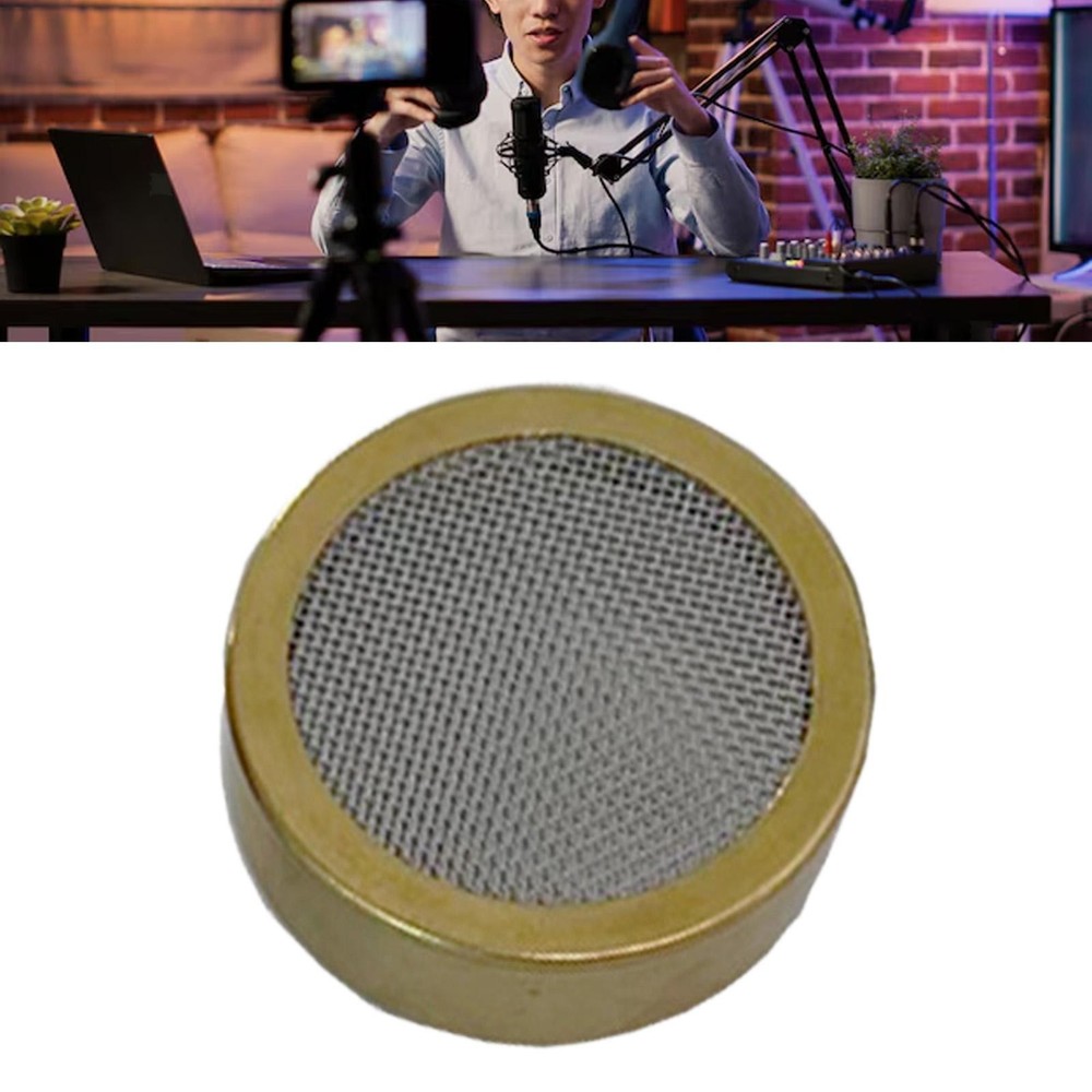 Microphone Core Protection Net Convenient Dynamic Copper Loudspeaker Subwoofer