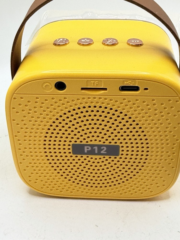 Mini karaoke machine portable bluetooth speaker With 2 Wireless microphones NEW