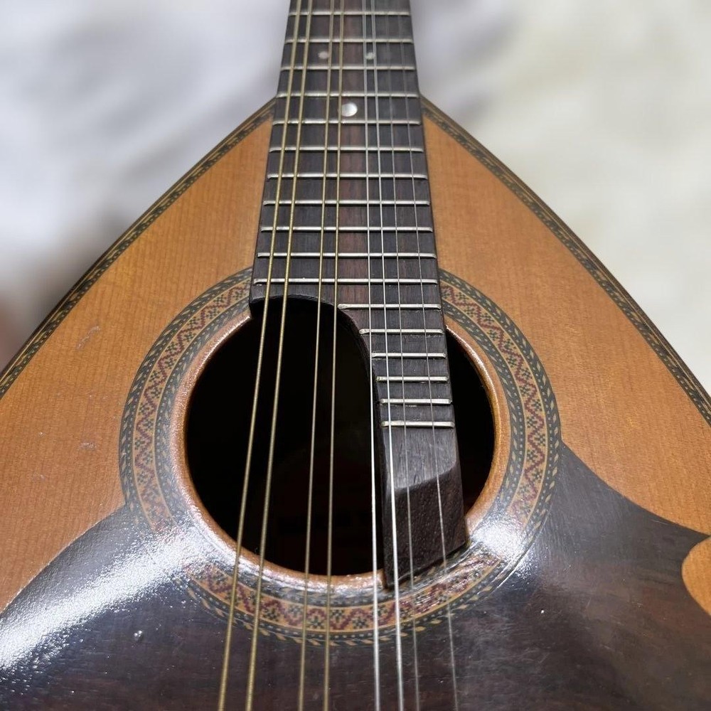 SUZUKI Mandolin M-218 1974