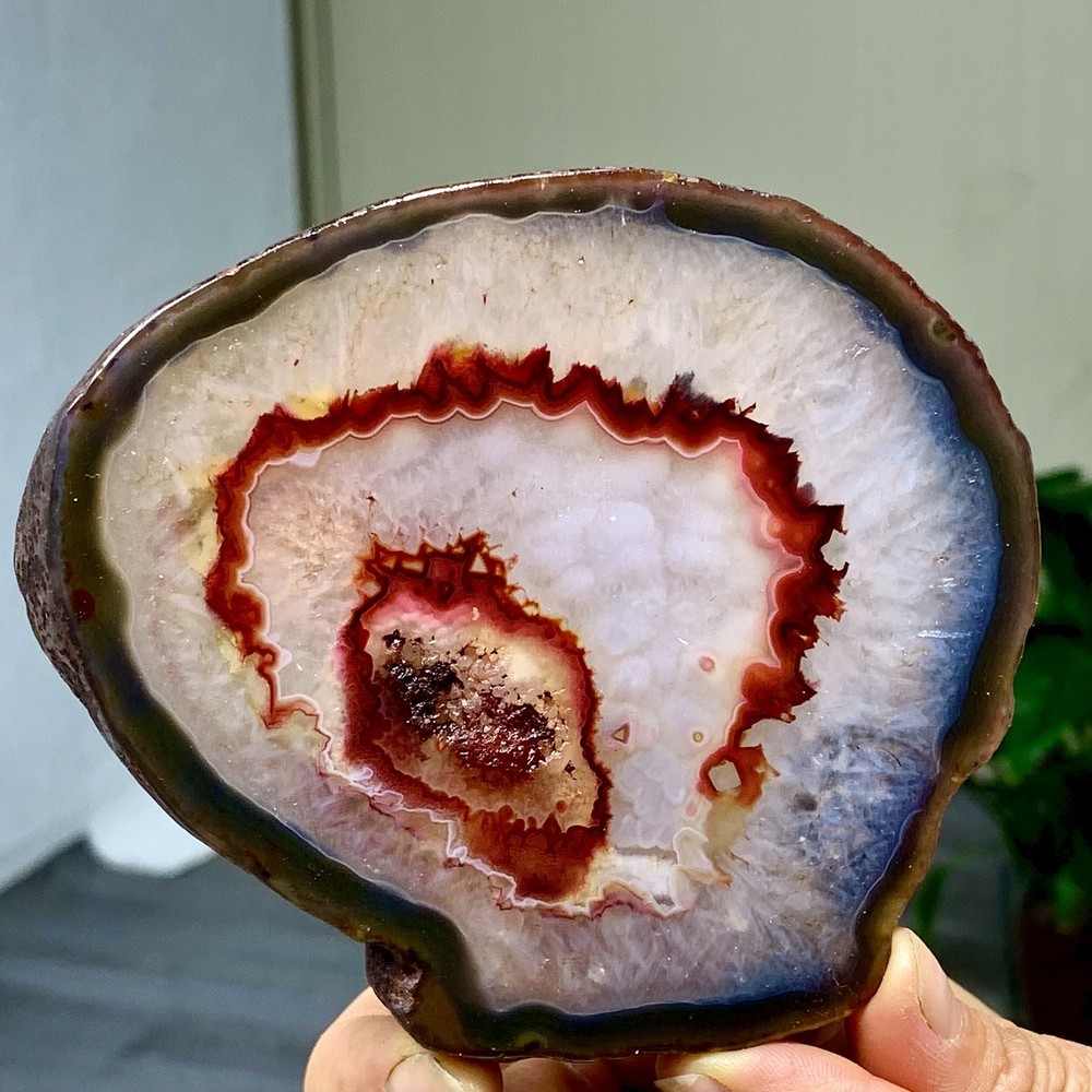 287G Natural Beautiful Agate Geode Druzy Slice Extra Large Gemstone
