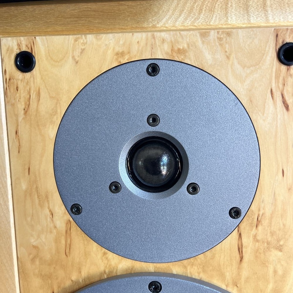 DYNAUDIO SP25 speakers