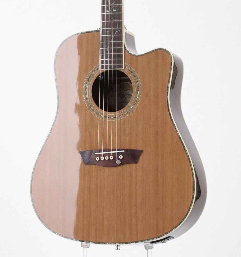 WASHBURN WDFLB28SCE [SC12042923]