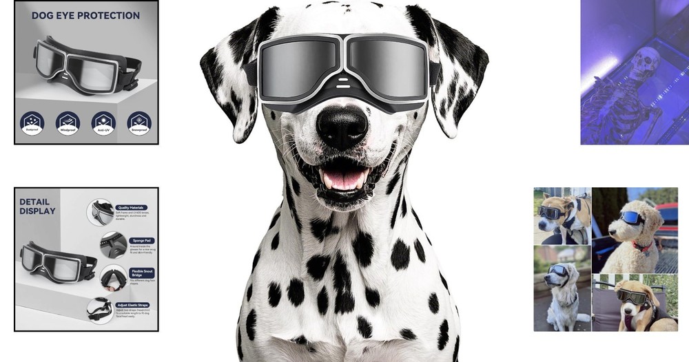 Enhanced Dog Eye Protection: Adjustable Goggles for Medium to Large Breeds
