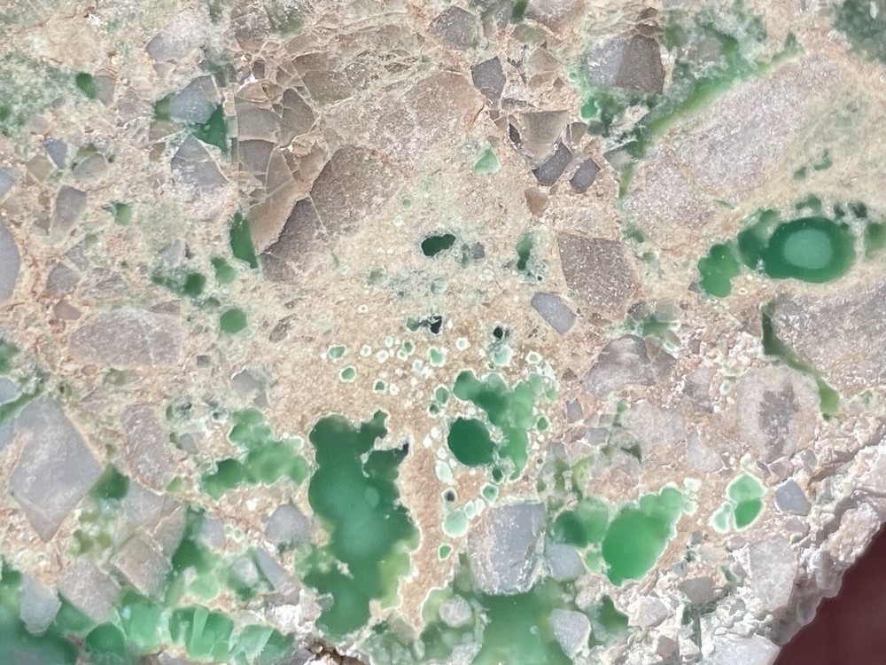 DIG-N-UTAH: VARISCITE UTAH POLISHED # L 608