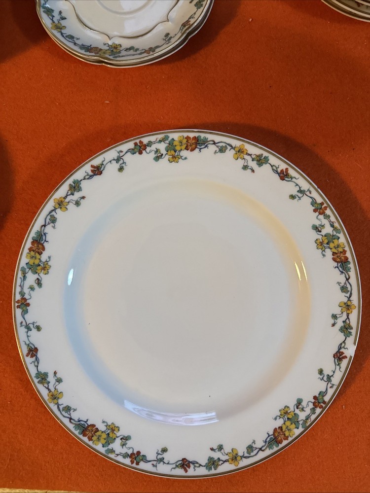 Vintage Limoges Nasturtium China Set