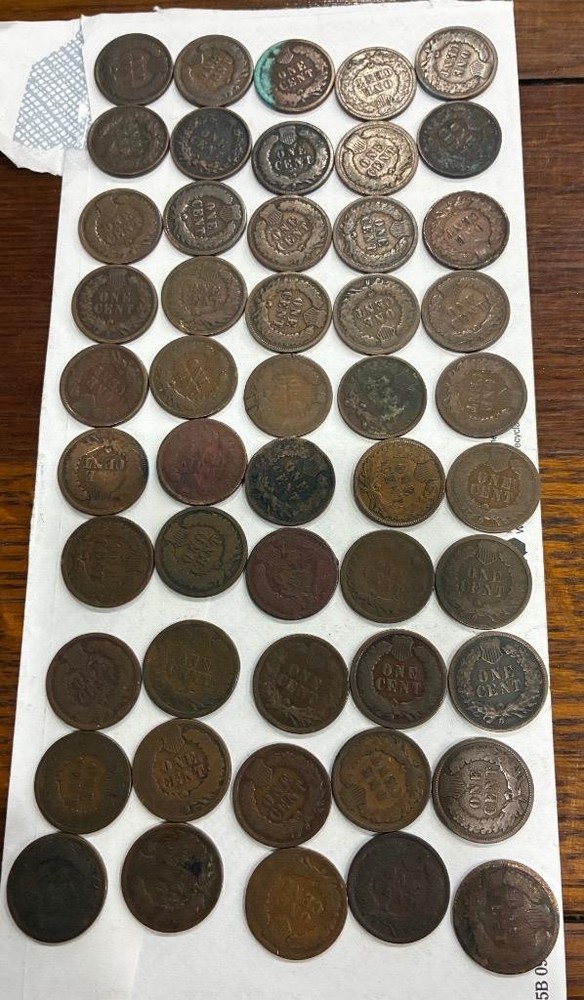 50 Assorted Indian Head Pennies #3