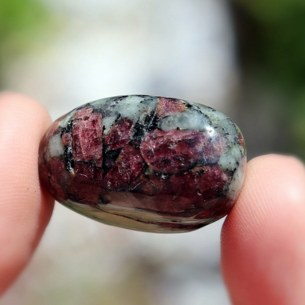 Polished Eudialyte (EUD42)