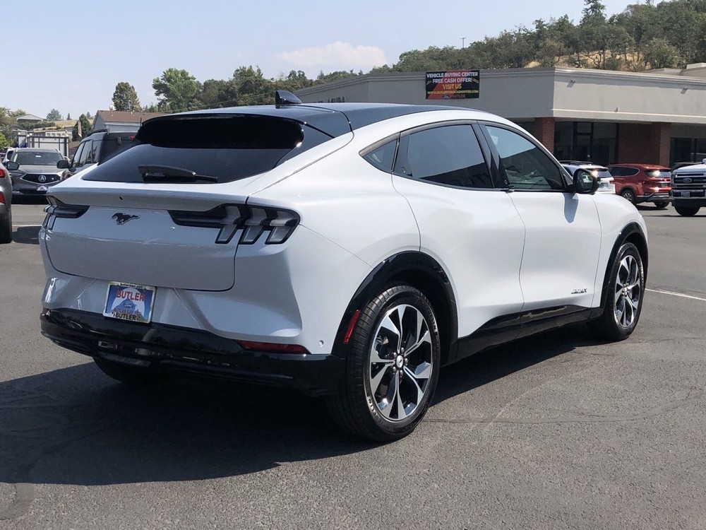 Touch Up Paint for Ford Mach-E with paint code A3, Space White.
