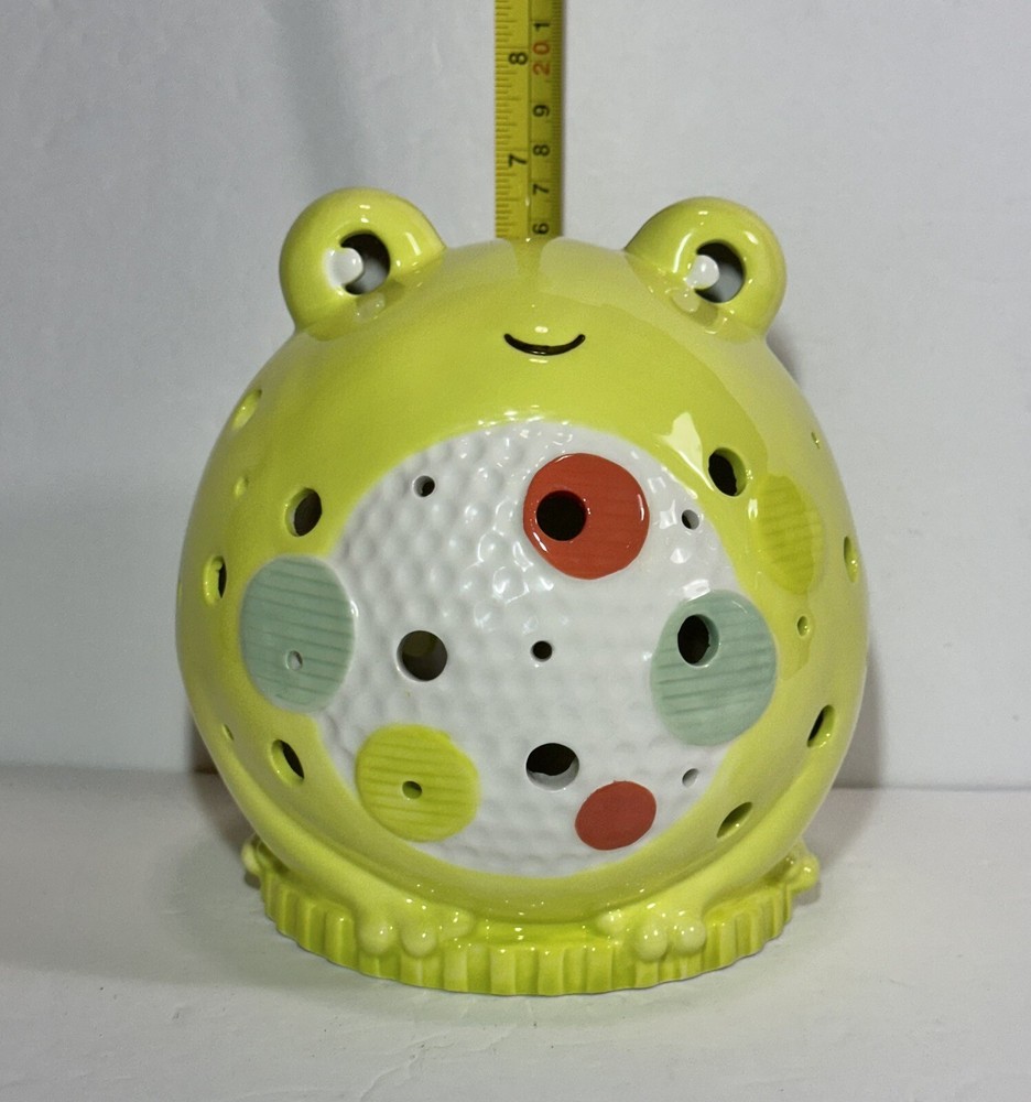 Frog Nightlight Infant/Child