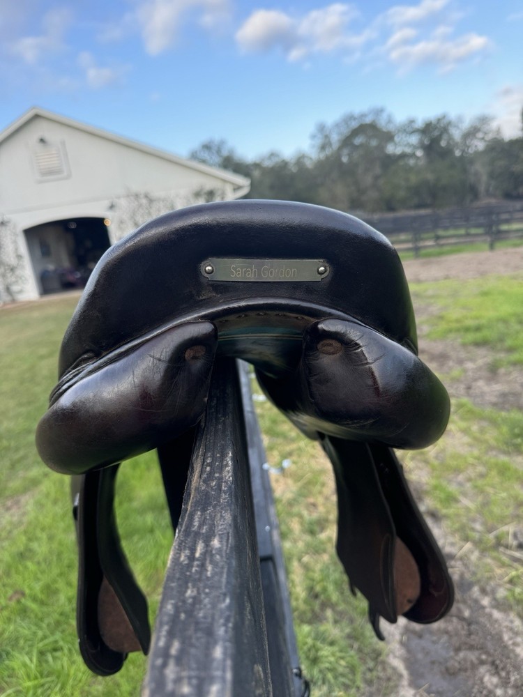 Voltaire Palm Beach 17 Inch