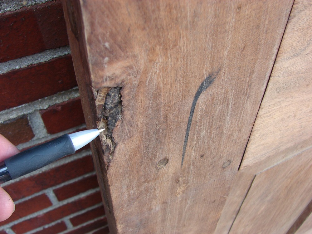 19TH CENTURY RAISED PANEL WALNUT DOOR PEGGED MORTISED