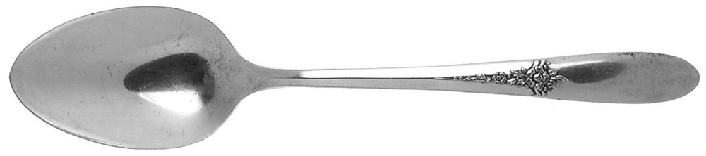 Oneida Silver Fantasy  Teaspoon 492428