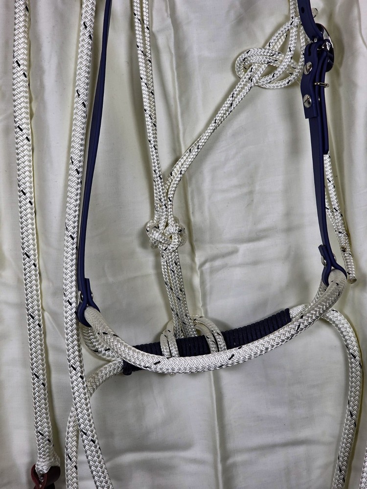 Soft Nose Loping Bridle