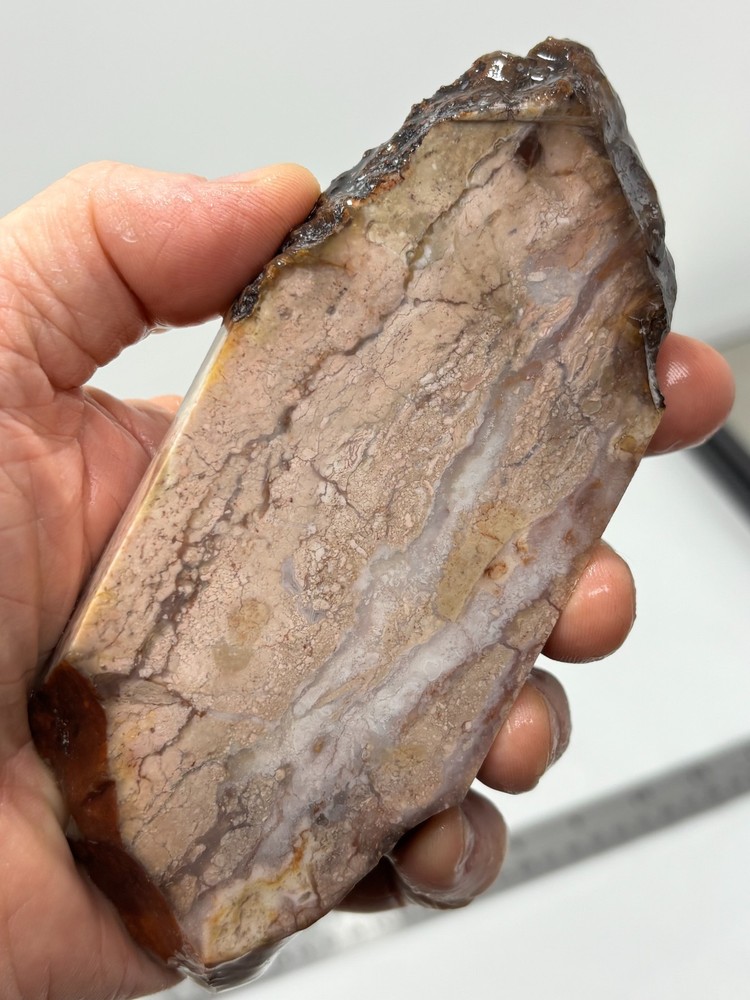 Pink Jasper/Agate Slab Cabbing Lapidary Combo Ship Avail