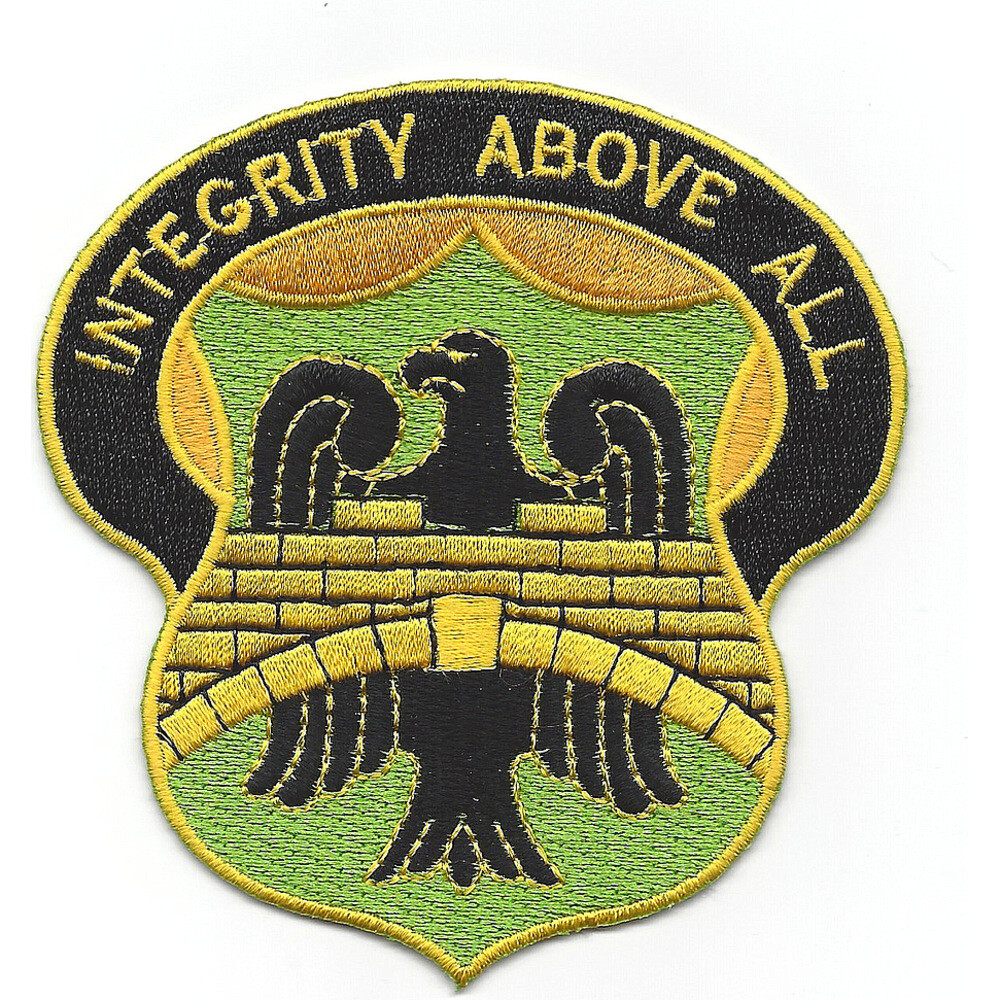 228th Military Police Battalion Patch