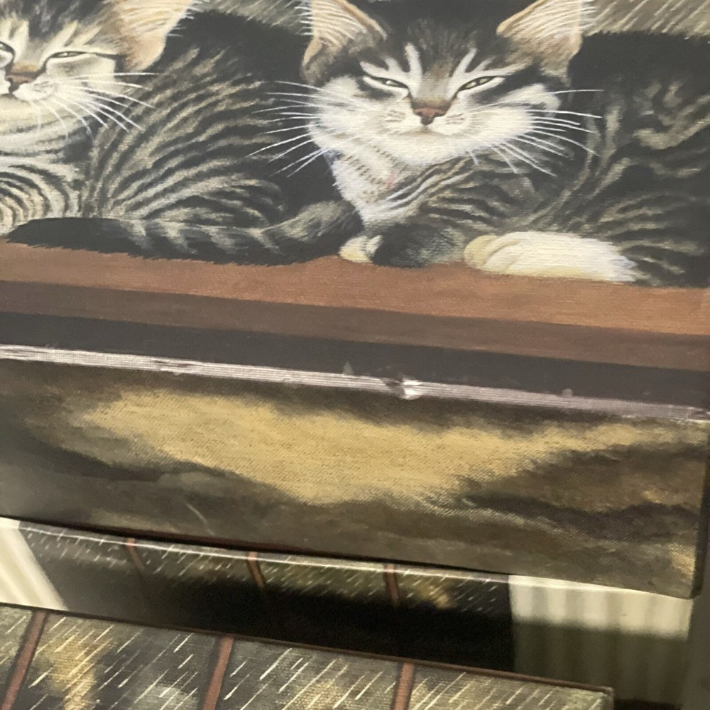 Complete Set of 7 Bobs Boxes Cat Decor Design Stackable Nesting Boxes