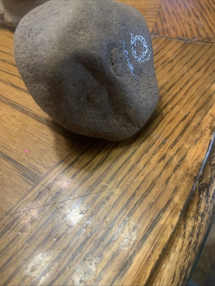 Fossils
