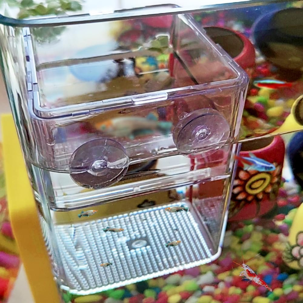 1 Pack Floating Fish Breeding Isolation Box Acrylic Floating Hatching Box for Ba