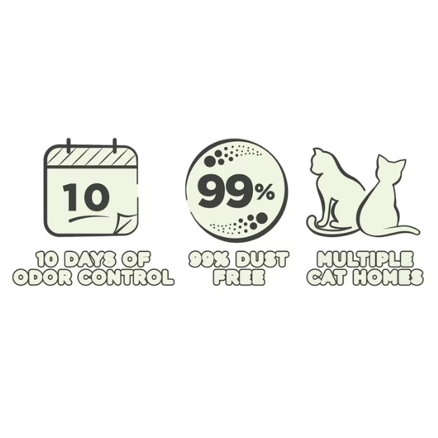(4 pack) Special Kitty Clumping Clay Cat Litter, Unscented, 45 lbs Box