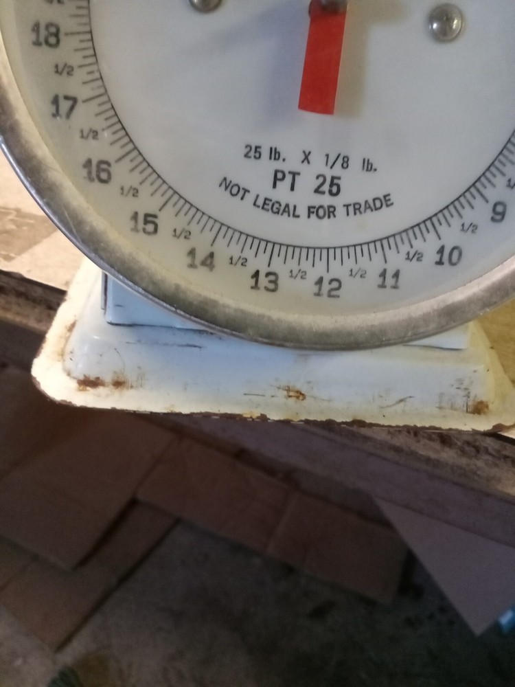 Detecto Scale - PT-25A - 25 lb.