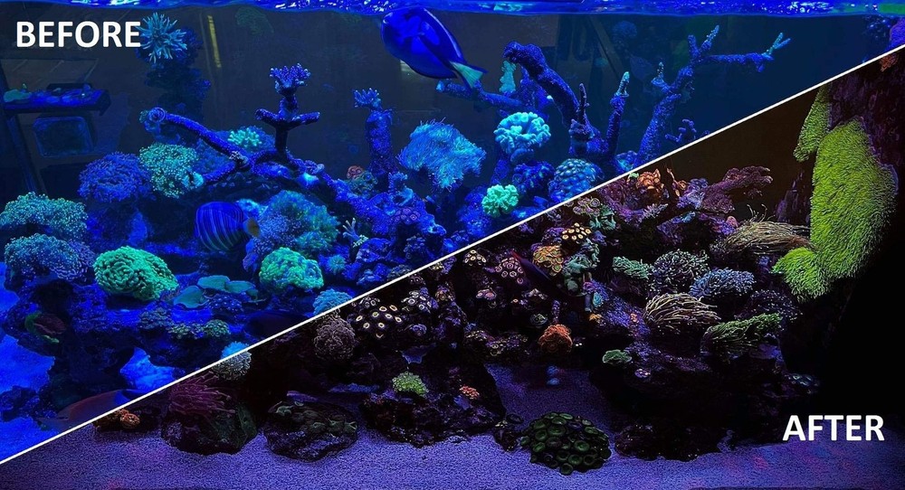 UV Coral Viewing Glasses