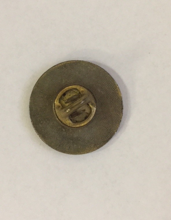 Spoiled Rotten Pin