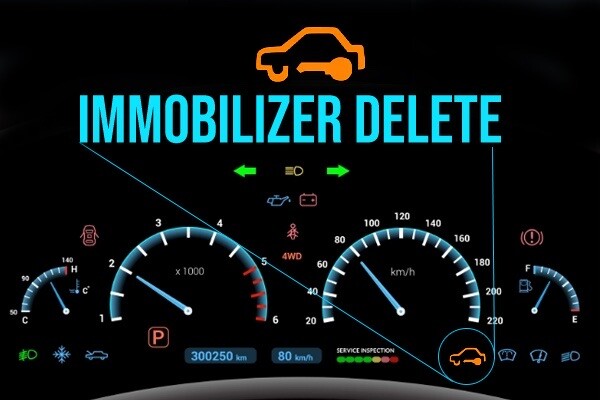 Security/immobilizer  Delete Services Send & Return