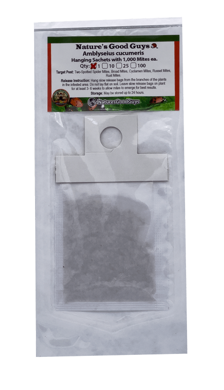 Slow Release Sachets - Amblyseius cucumeris - Predatory Spider Mite Control