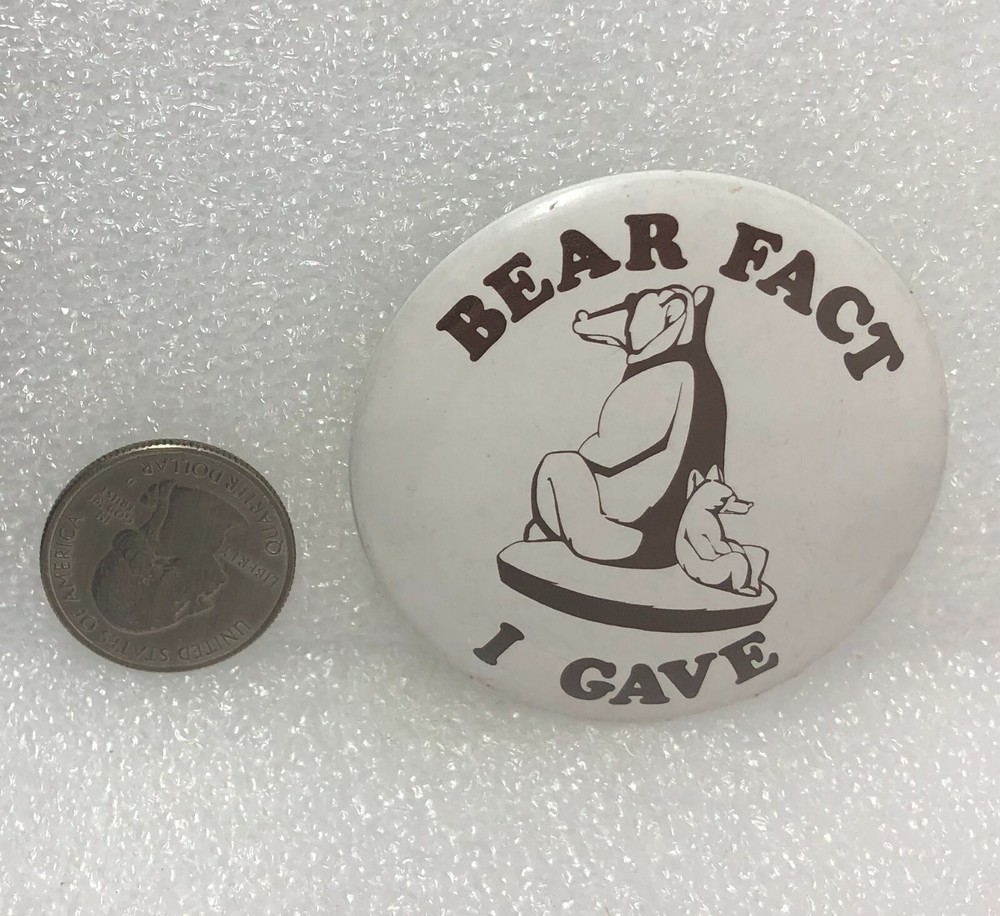 Bear Fact I Gave Pin