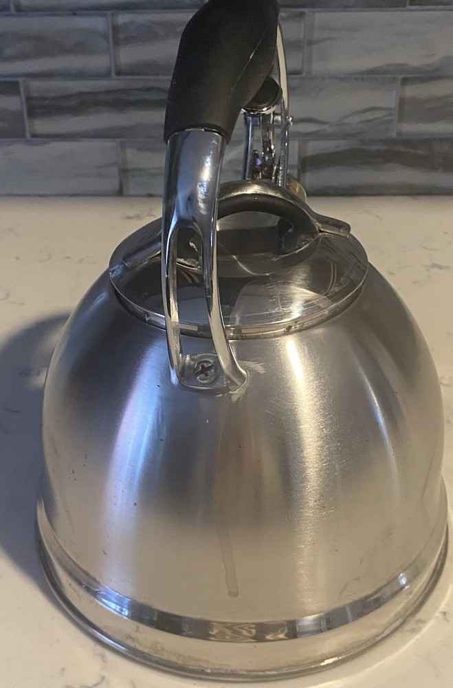 Well Equipped Kitchen Stainless Steel Tea Kettle Black Handle