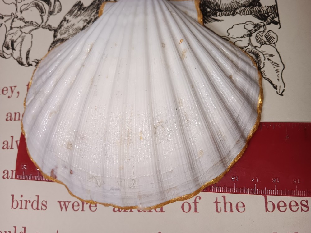 Handmade Shell Trinket Dish With Cardinal And Flowers