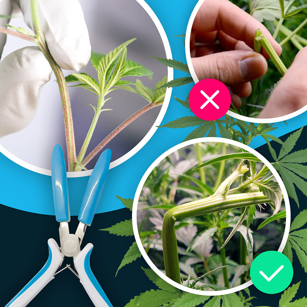 THEPROTECTOR Hydroponics Garden Pruner (2 Pack) For Grow Room Cropper tool