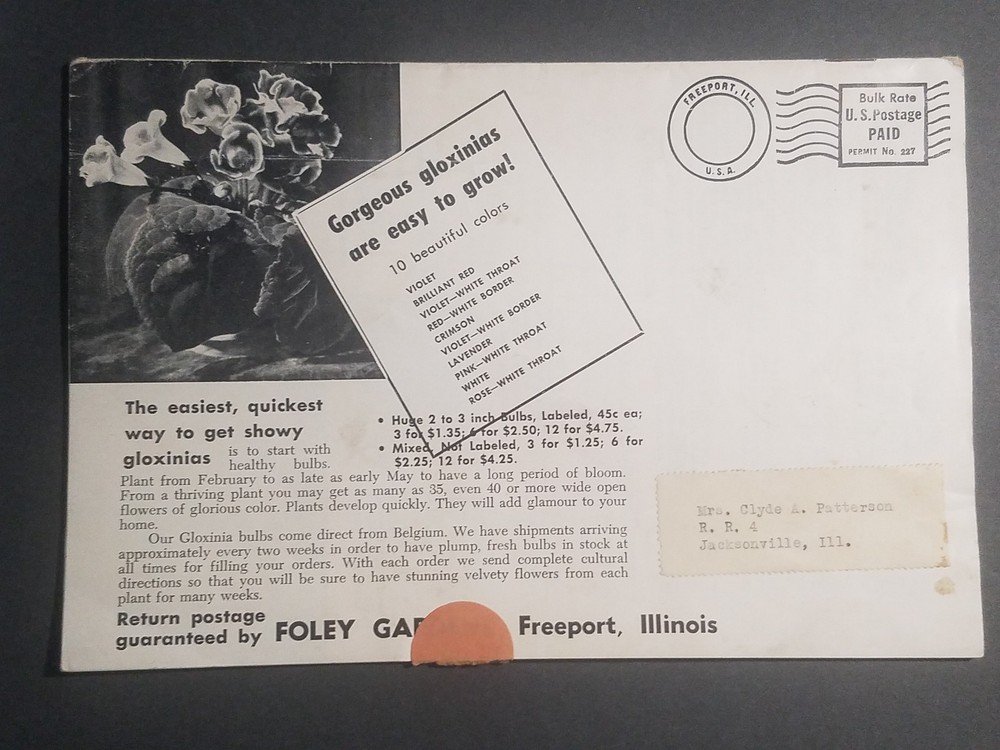 1957 Foley Gardens Catalog