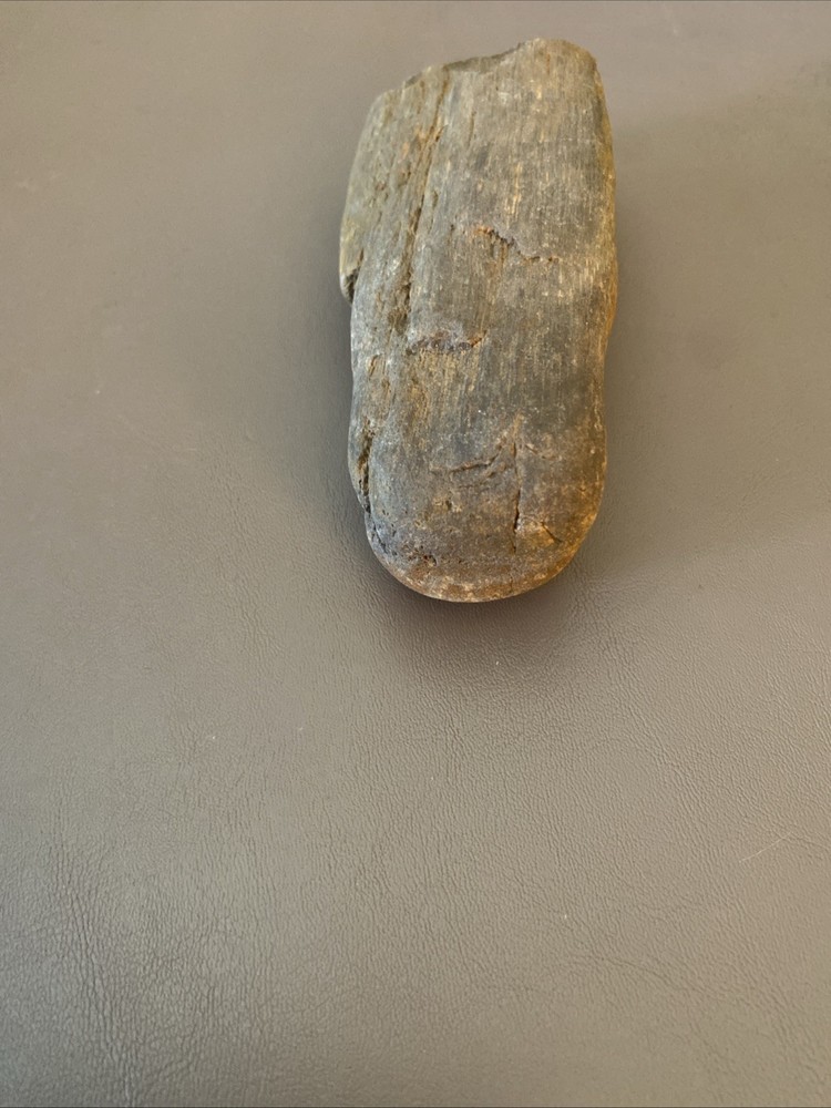 Petrified Wood