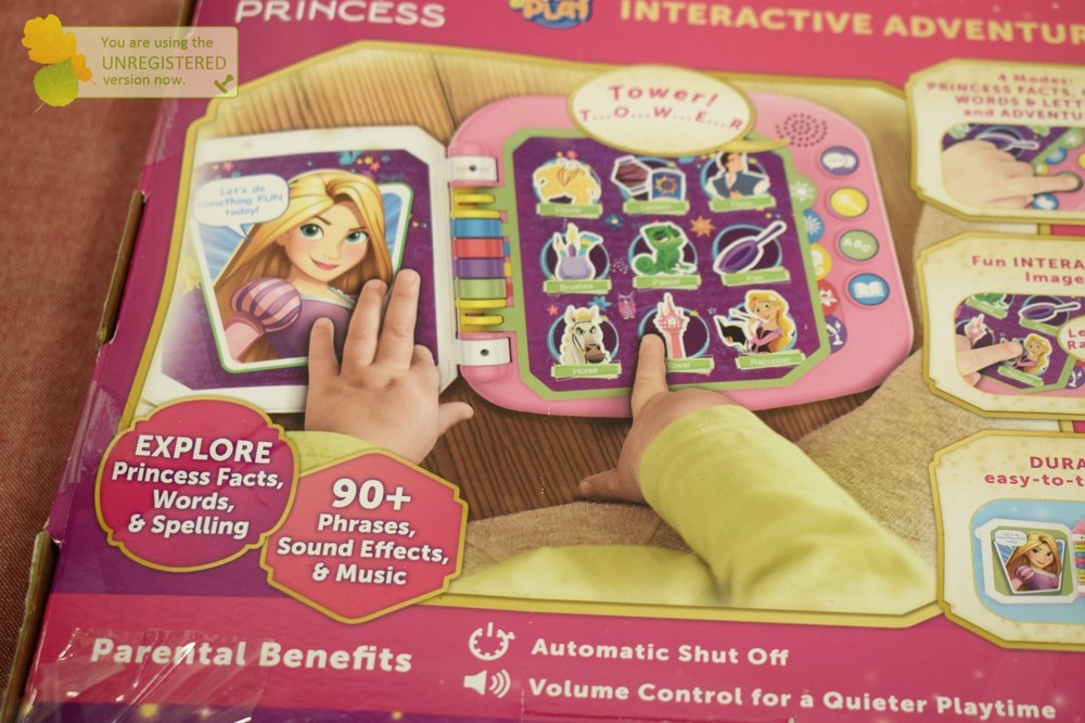 Disney Princess Interactive Adventures