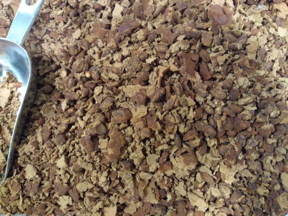  Pinto beans dehydrated survival emergency 3 lbs crypto accepted