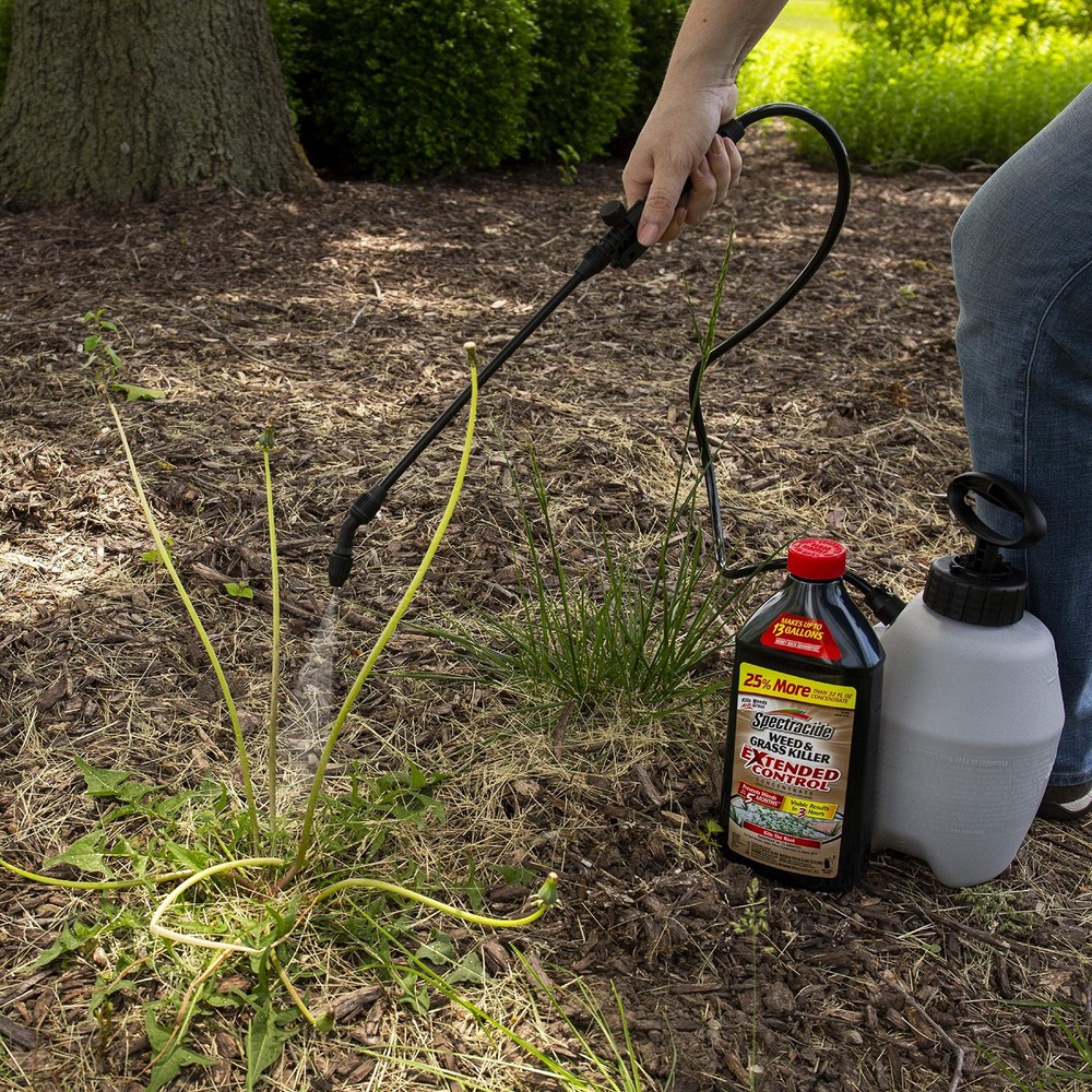 Weed & Grass Killer With Extended Control Concentrate Extended Weed And Grass...