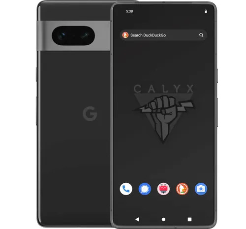 Remote or Mail-In De-Googling and Encryption Service: Calyx or Graphene Install