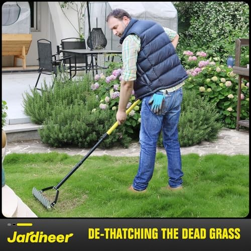 Thatch Rake for Lawns, 61.4" Long Handle Manual Dethatcher with Adjustable