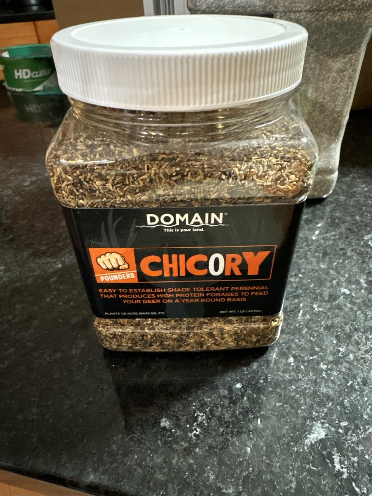 Domain Chicory Pounder Seed 1/8 Acre