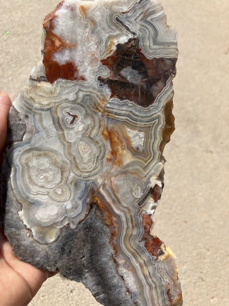 Crazy Lace Agate Slab