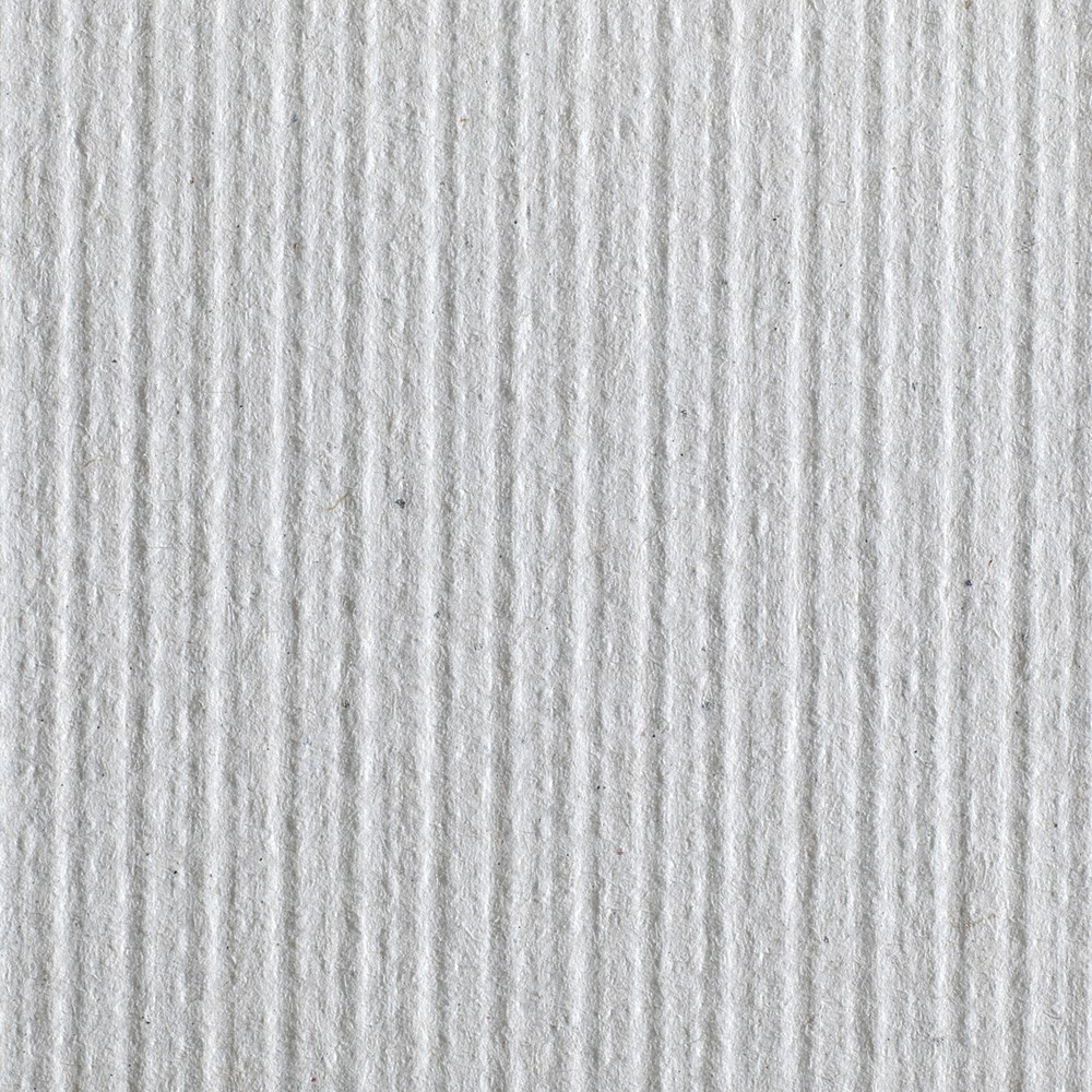 Pacific Blue Basic Paper Towel Hardwound Roll 6 Roll(s) 1 Towels/ Roll