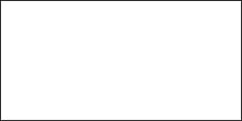Jacquard Neopaque Acrylic Paint 2.25oz White