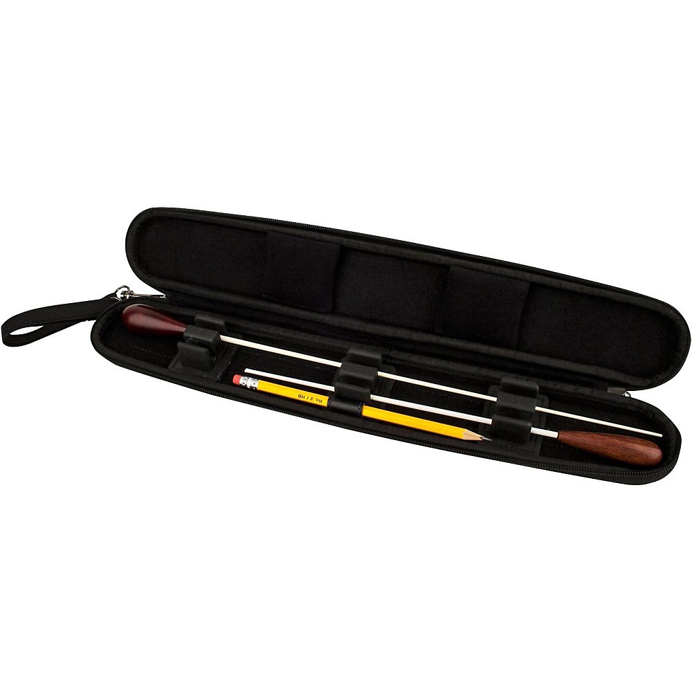 Modular Double Baton Case