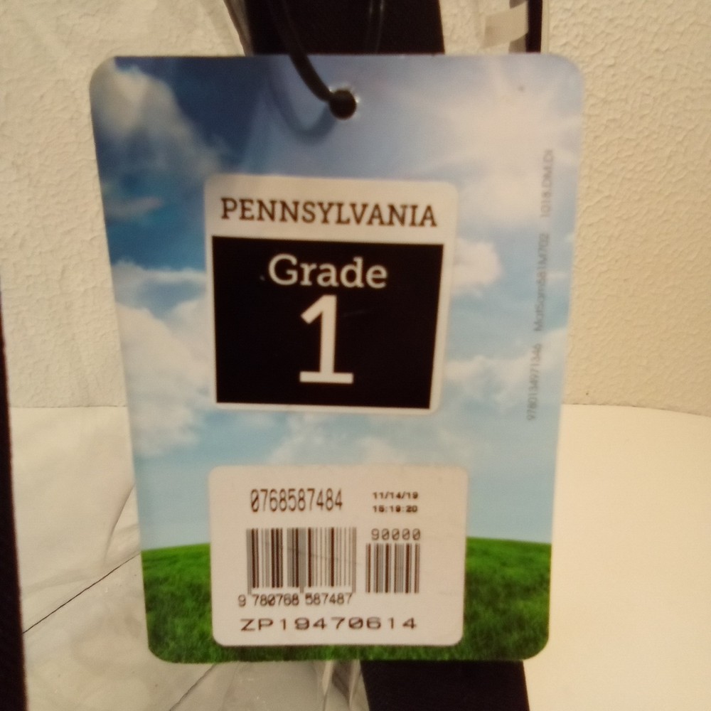 Invision Clear Black Double Adjustable Straps Top Handle Plastic Backpack NWT