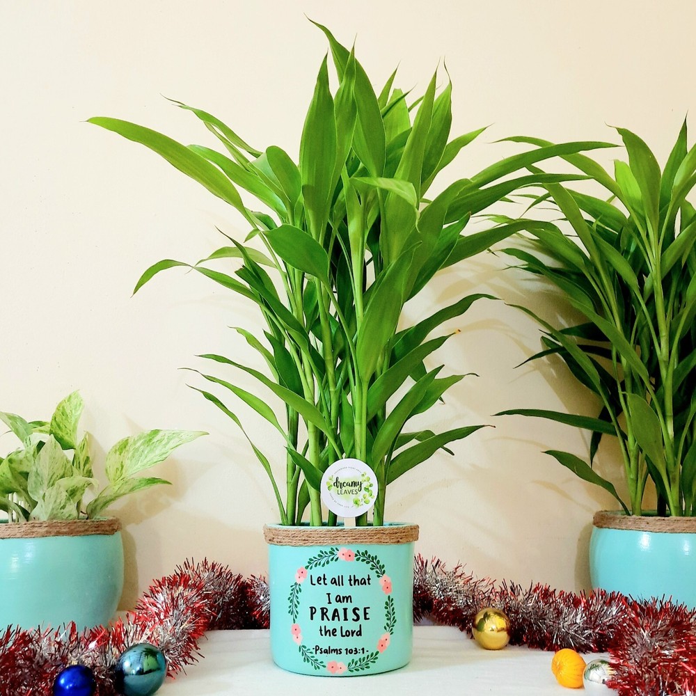 Customizable Handpainted Pot with Wording – Unique Home Décor