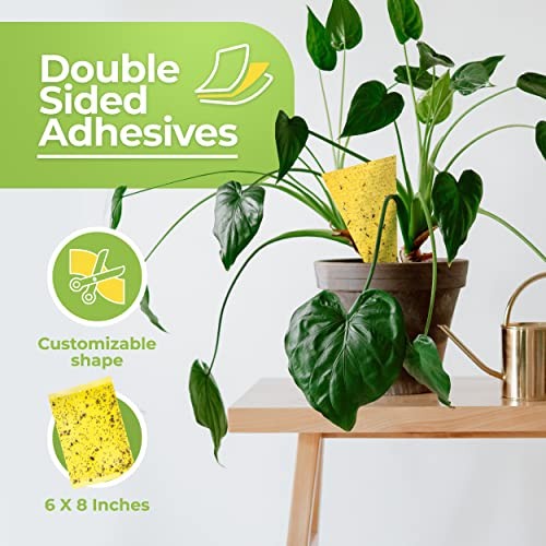 Fruit Fly Trap (20 Pack), Double-Sided Yellow Sticky Traps for Kitchen &