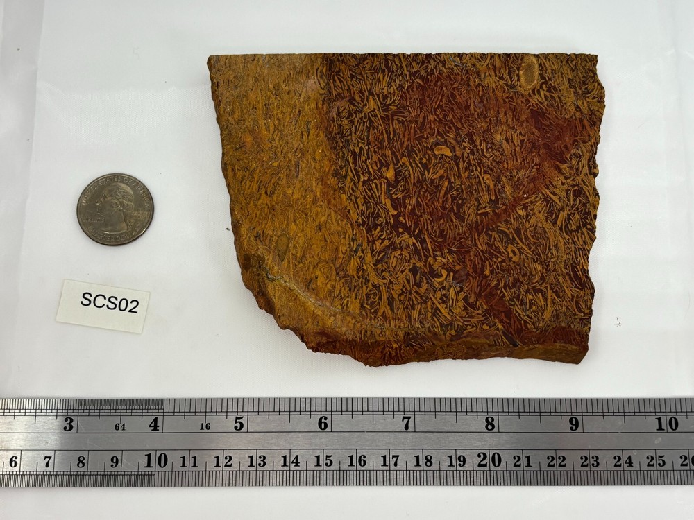 Script Stone Jasper Slab Cabbing Lapidary Collecting Combo Ship Avail