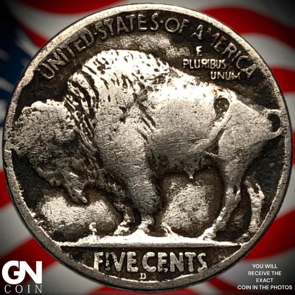 1919 D Buffalo Nickel X5259
